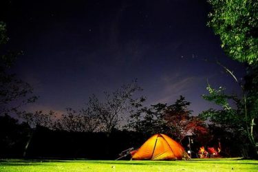 秋キャンプが最高